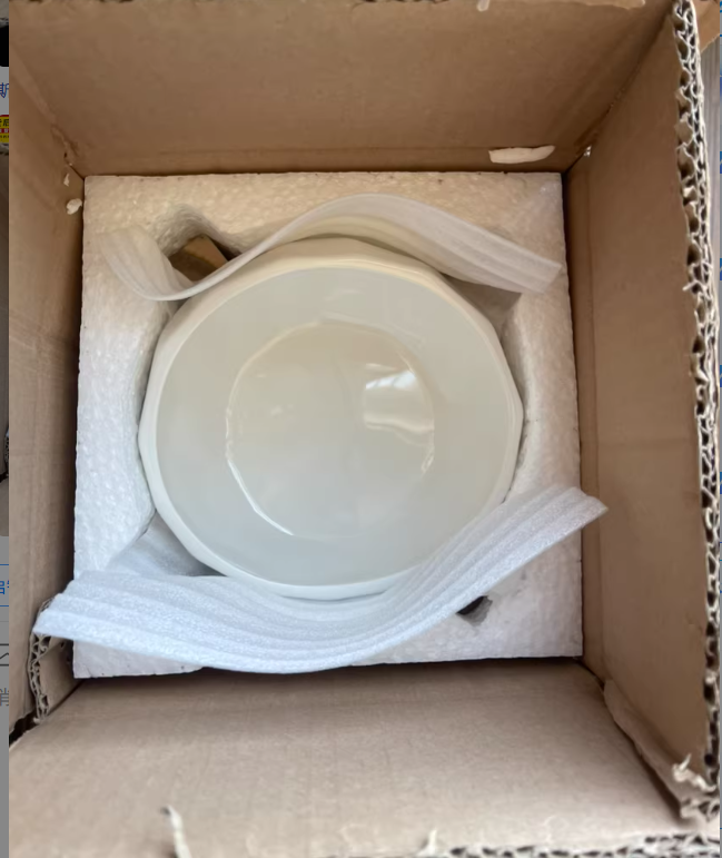 Slanted Elevated Pet Bowl