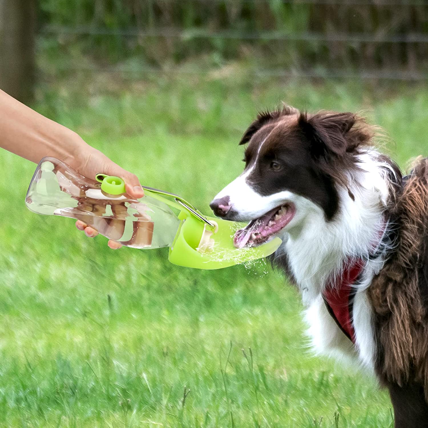 Portable Pet Water Dispenser – Flip Cup Design | 580ml