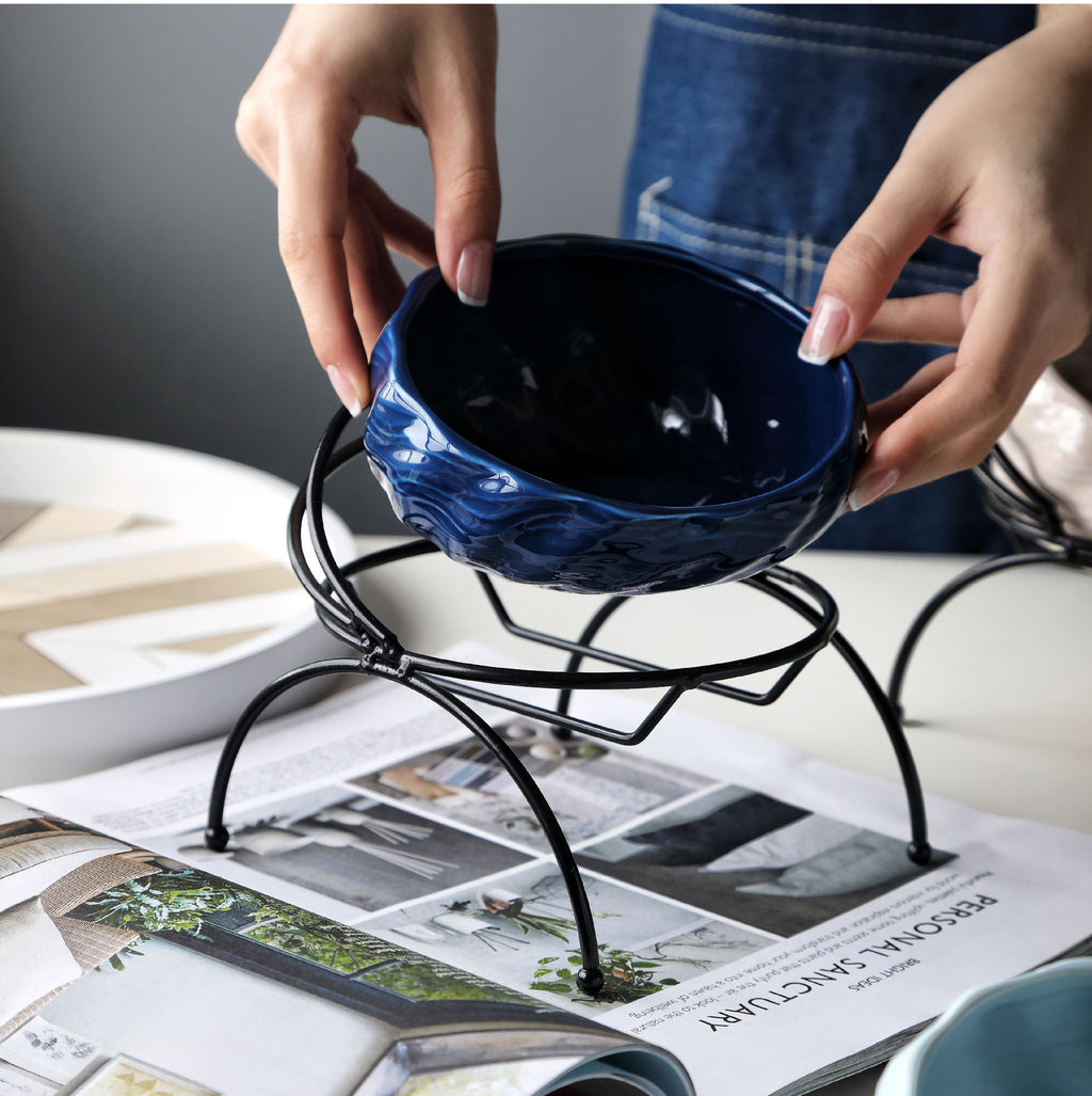 Slanted Elevated Pet Bowl