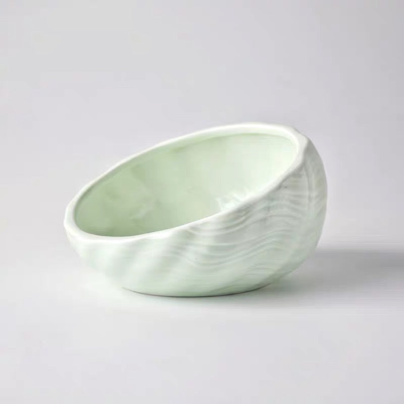 Slanted Elevated Pet Bowl