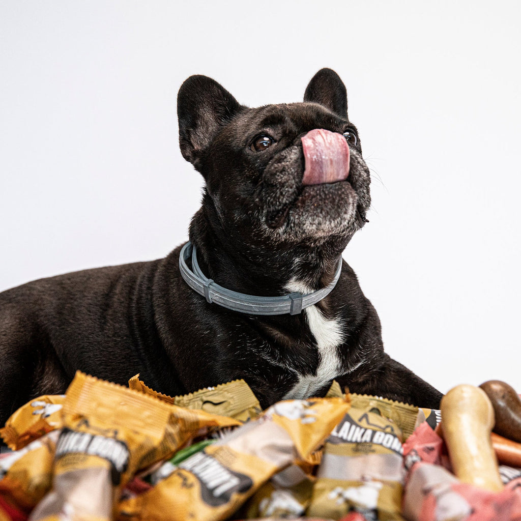 LAIKA Cheese & Chicken Dog Chews – Natural Lactose-Free Treat