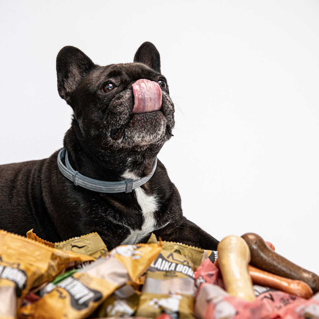 LAIKA Bone Natural Cheese Dog Chews – Lactose-Free Protein Treat (BOX)