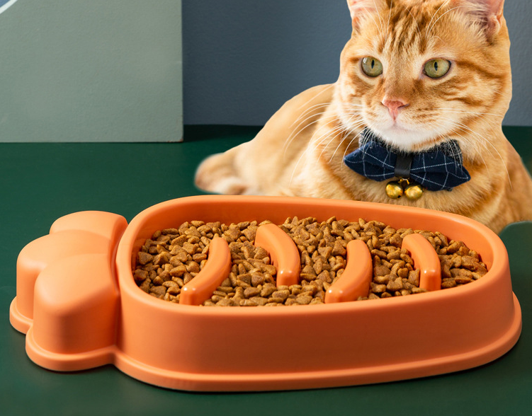 Pawtails Slow Feed Anti-Choke Dog Bowl – Fun Radish Design
