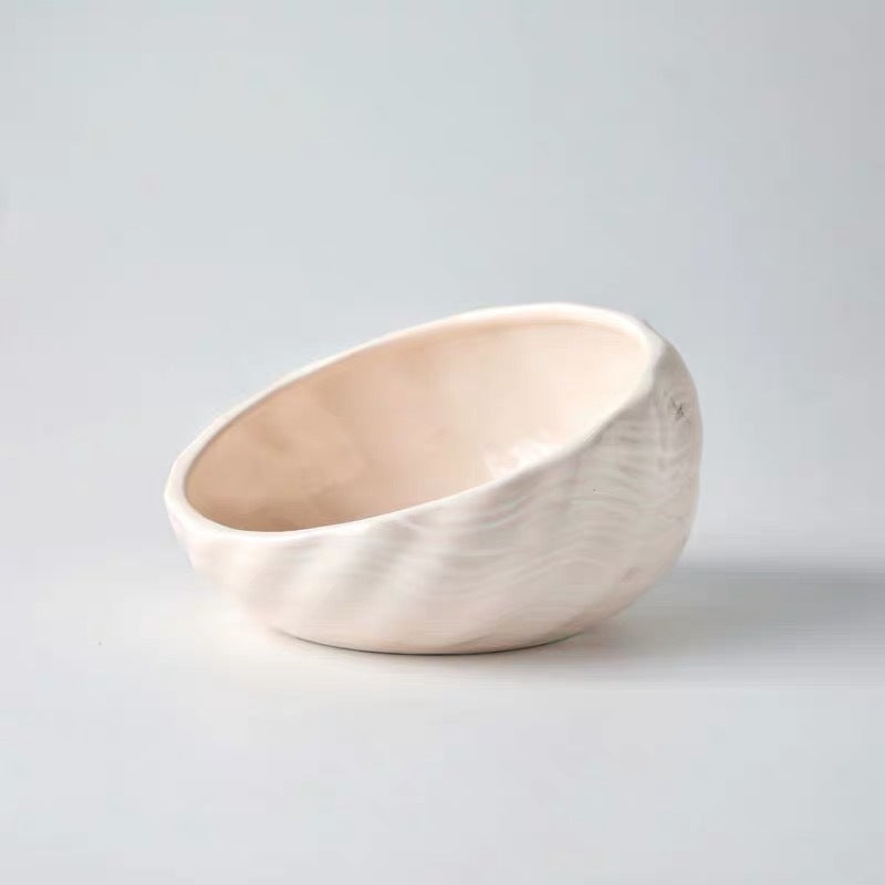 Slanted Elevated Pet Bowl