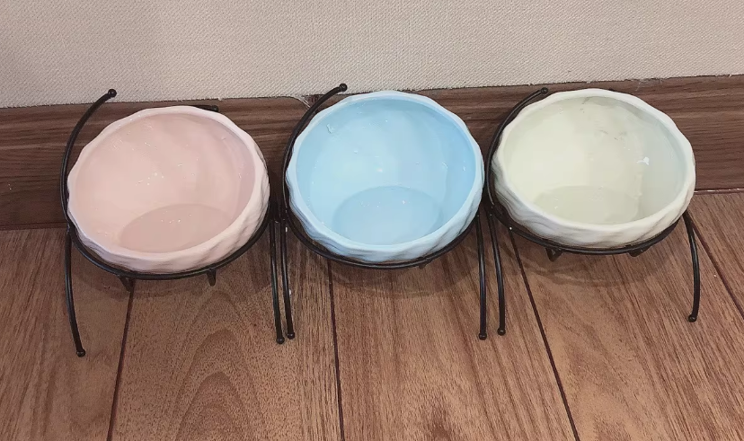 Slanted Elevated Pet Bowl