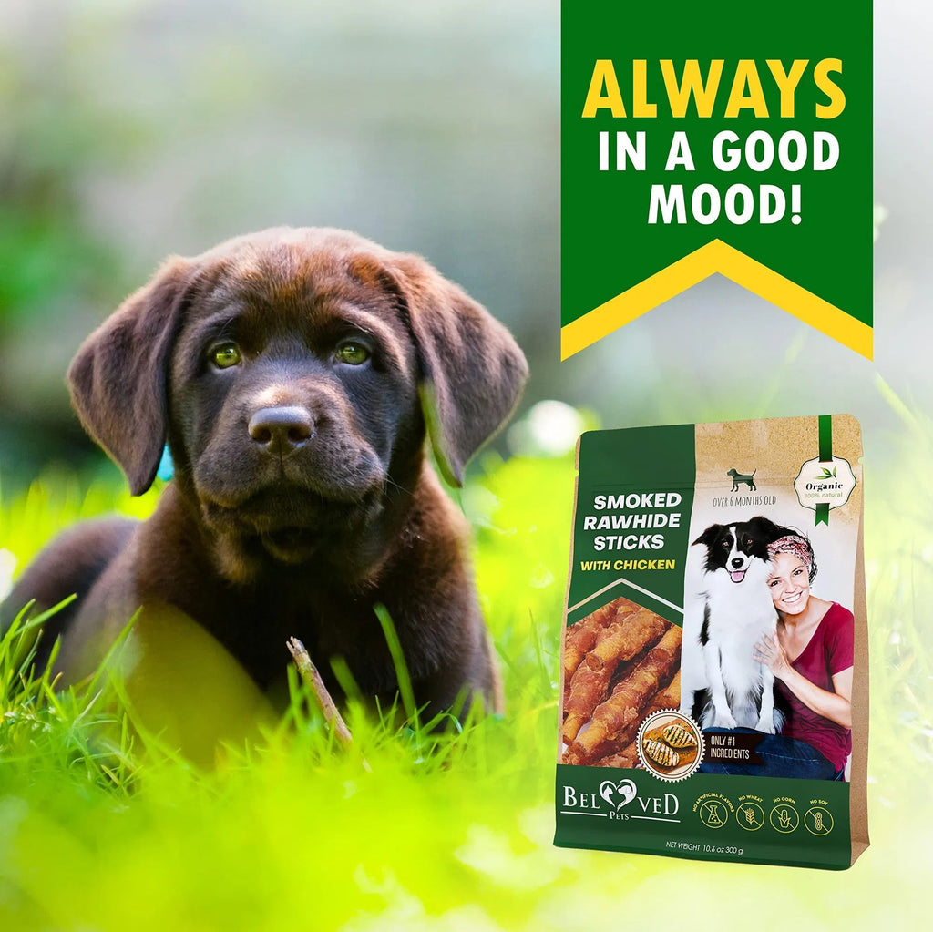 Smoked Rawhide Sticks with Chicken Wrap – Natural Dog Chew Treats