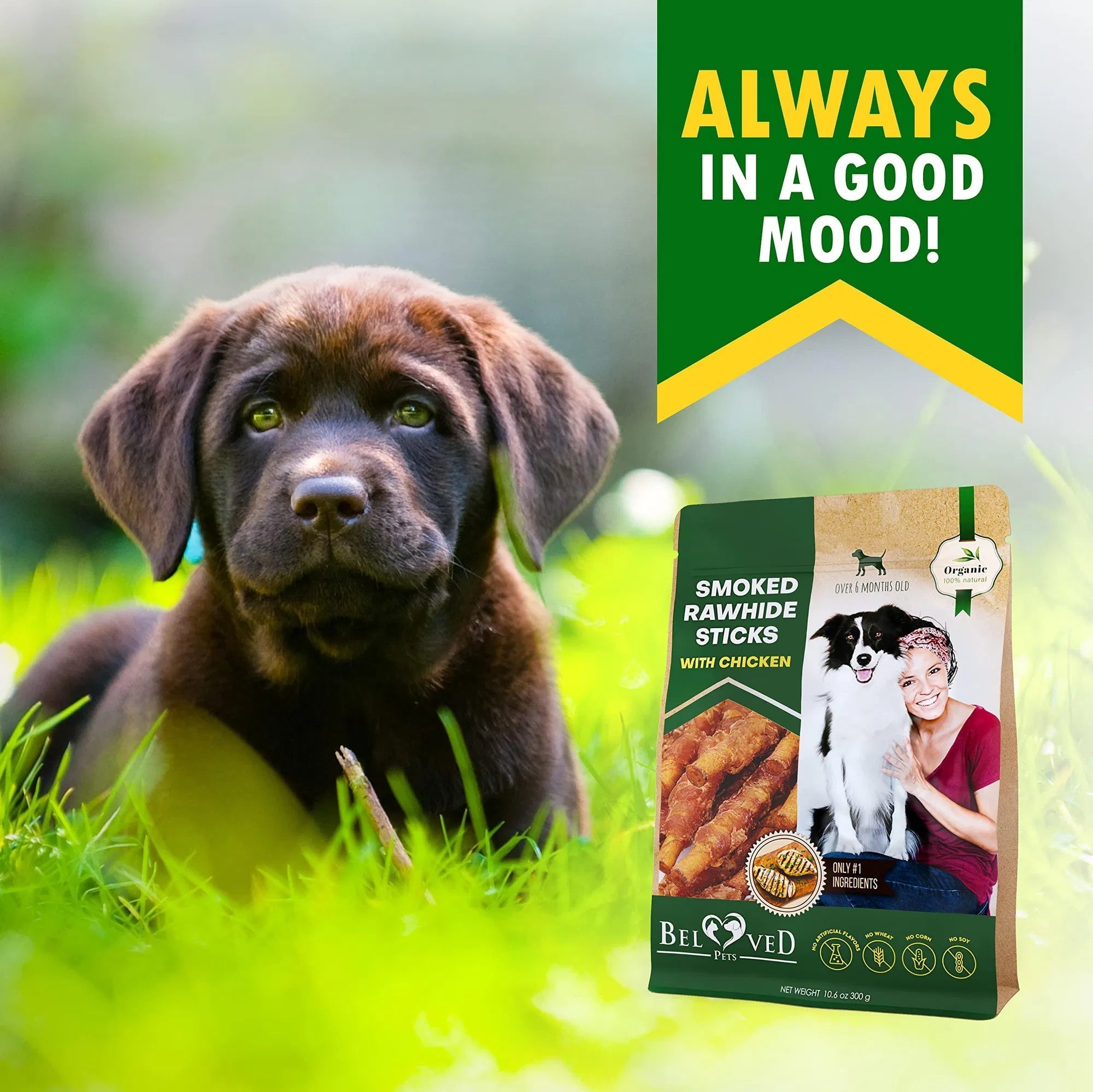 Smoked Rawhide Sticks with Chicken Wrap – Natural Dog Chew Treats