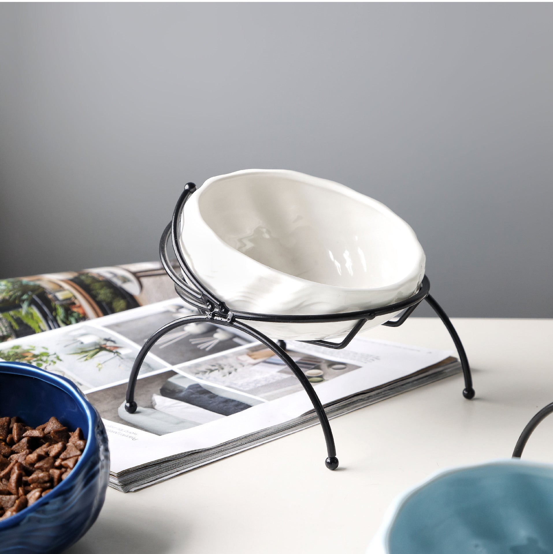 Slanted Elevated Pet Bowl