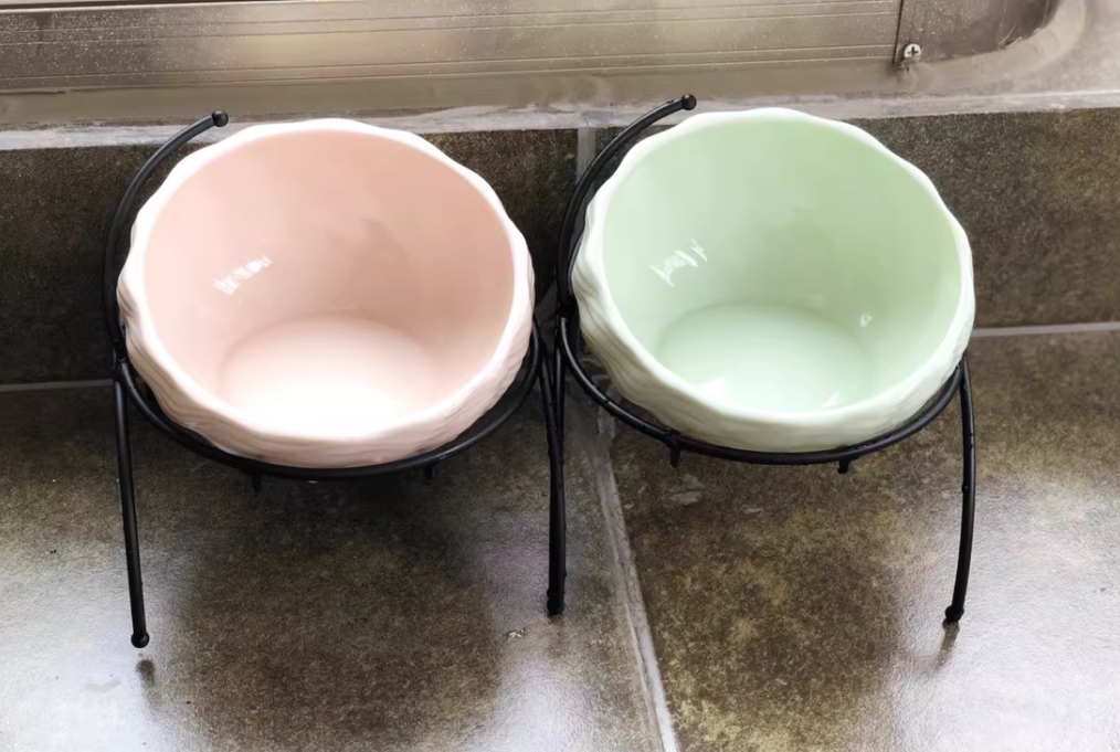 Slanted Elevated Pet Bowl