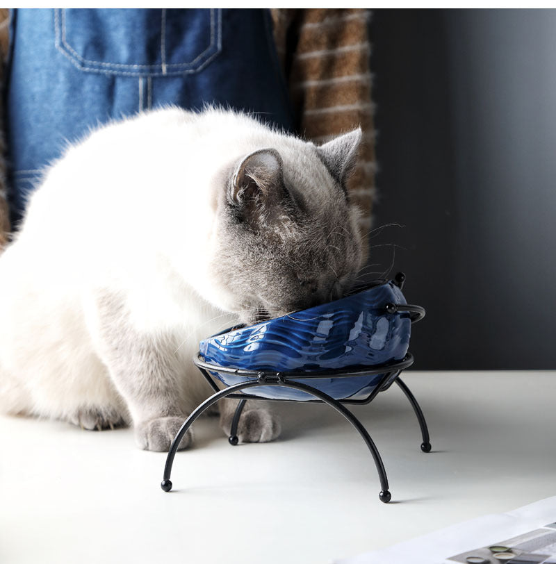 Slanted Elevated Pet Bowl